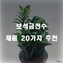  [쇼핑정보] 보석금전수 상품 모음20종 리스트 입니다. 알뜰한 쇼핑 하세요~ 