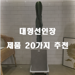  후회없는 선택의 대형선인장 물품들20가지 입니다~ 즐거운 쇼핑하세요 