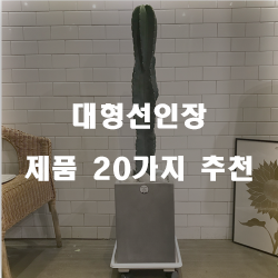 후회없는 선택의 대형선인장 물품들20가지 입니다~ 즐거운 쇼핑하세요 