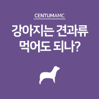  강아지, 견과류 먹어도 되나?