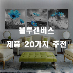  괜찮은 블루캔버스 제품들20종 확인 해보세요~ 