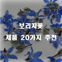  후회없는 선택의 보리지꽃 상품 모음20종류 순위 리스트 입니다~ 확인해보세요 