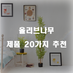  후회없는 올리브나무 여기에 있습니다.20가지 순위 리스트 정보 입니다. 