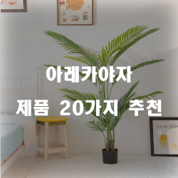  [제품순위] 아레카야자 상품군20종류 리스트 보고가세요~ 