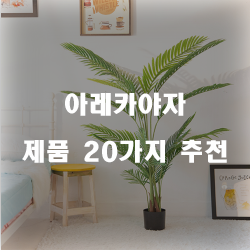 [제품순위] 아레카야자 상품군20종류 리스트 보고가세요~ 