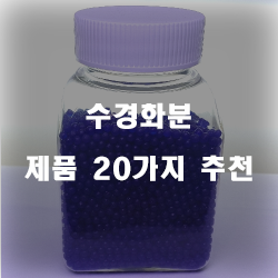  [쇼핑정보] 수경화분 제품들20가지 추천순위 입니다 실패없는 쇼핑 하세요 