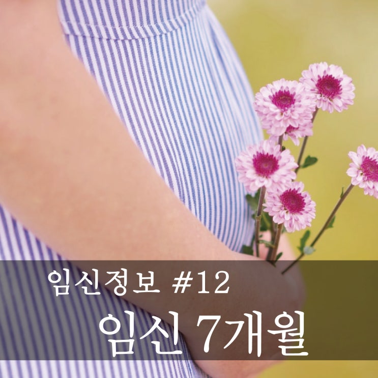 [임신정보] 예비 엄마,아빠의 임신공부  -임신 7개월(임신24~28주)
