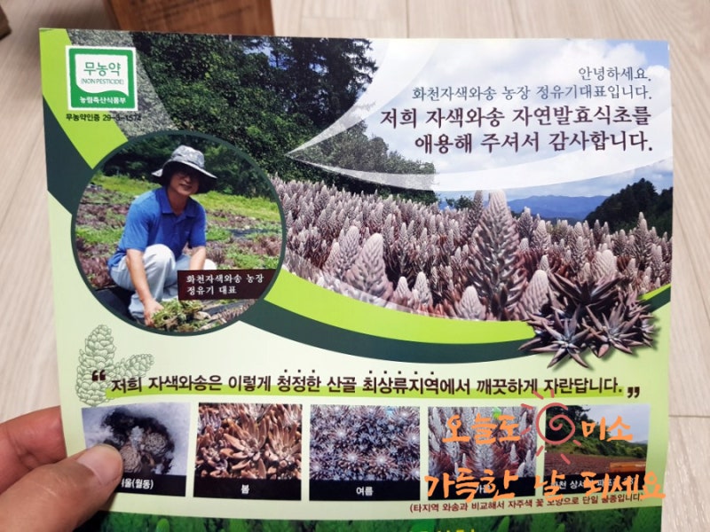 항암음식 추천 / 정유기대표 화천와송 발효식초 4