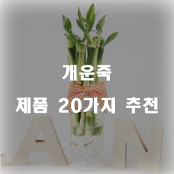  잘팔리는 개운죽 제품군1위 부터 20위 리스트 입니다~ 확인해보세요 