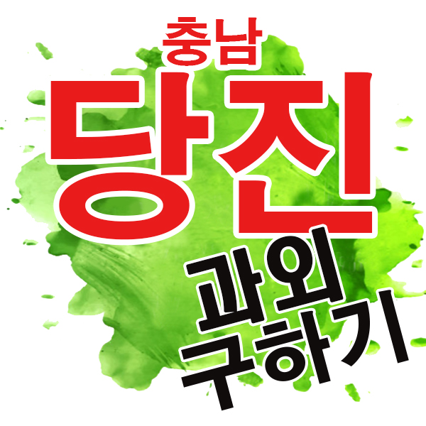  당진과외 채운동 읍내동 초등학교 일대일 전문 개인 국어 영어 수학과외 학생을 위한 수업!