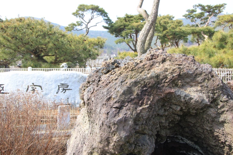  2020년 도시농업 텃밭 참여자 모집공고하네요