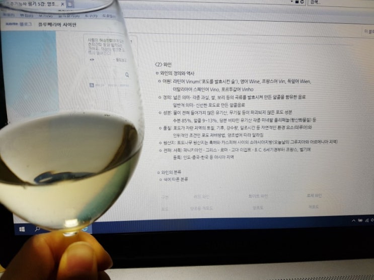  조주기능사 필기 5강: 양조주(와인)