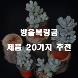  [쿠팡] 방울복랑금 물품 모음20종류 입니다. 