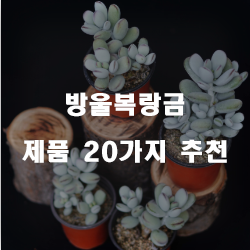 [쿠팡] 방울복랑금 물품 모음20종류 입니다. 