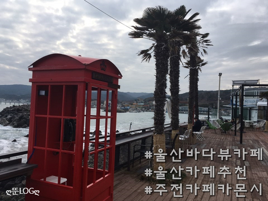  울산주전카페추천):바다가 훤히보이는 오션뷰카페 "카몬시"