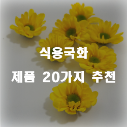  저렴한 식용국화 여기에 있습니다.20종류 순위 보고가세요~ 
