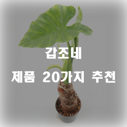 저렴한 갑조네 제품들1위 부터 20위 입니다. 알뜰한 쇼핑하세요~ 