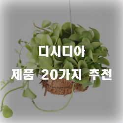  후회없는 선택의 디시디아 제품20가지 추천 실패없는 쇼핑하세요~ 