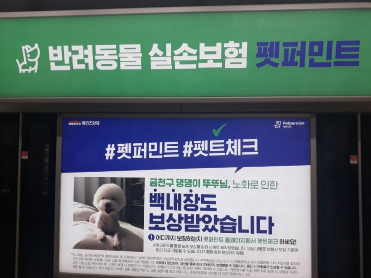  어느 보험사의 공격적인 반려동물보험 마케팅