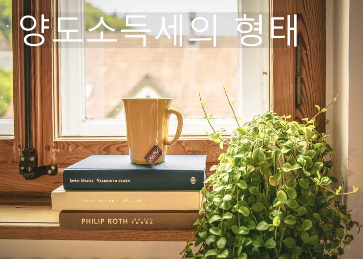  양도소득세의 형태