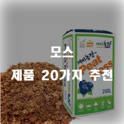  쿠팡에서 판매하는 모스 여기에 있습니다.20개의 상품을 한눈에 보는 정보입니다. 