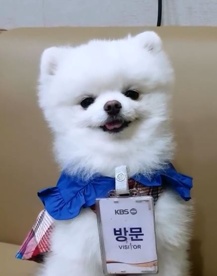  연기 태도 논란의 신인 배우 황제니 이오