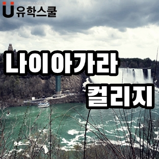  나이아가라컬리지 호텔경영학과 9월 합격 후기!(해외 거주자)