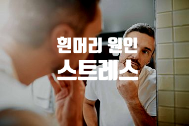  스트레스 흰머리 원인