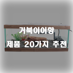  [쿠팡] 거북이어항 상품군20개의 상품을 한눈에 보는 리스트 확인해보세요~ 