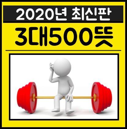 3대 500 뜻 300 언더아머 단속반 완벽정리 네이버 블로그