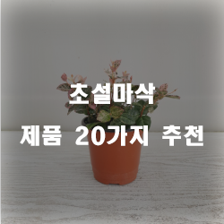  [상품순위] 초설마삭 제품들20가지 추천순위 리스트 입니다. 