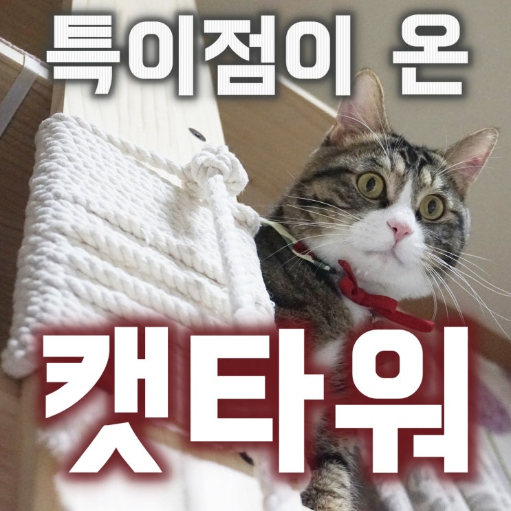  특이점이 온 고양이 원목 캣타워(아리아퍼니쳐 WK-5551)
