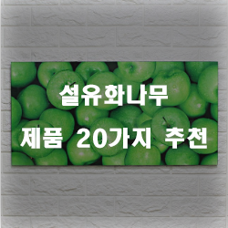 [인기순위] 설유화나무 상품들20가지 추천순위 리스트 