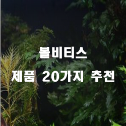  [베스트 순위] 볼비티스 제품20개의 상품을 한눈에 보는 입니다. 알뜰한 쇼핑하세요~ 
