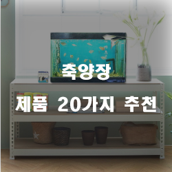 [상품정보] 축양장 상품 모음20종류 리스트 확인해보세요~ 