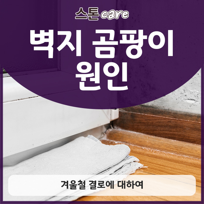 벽지 곰팡이 원인, 겨울철 결로에 대하여