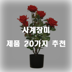  [상품순위] 사계장미 여기에 있습니다.20종 입니다. 