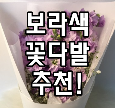  보라색 꽃다발 추천