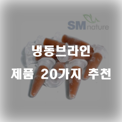  리뷰가 좋은 냉동브라인 상품20종류 순위 확인 해보세요~ 