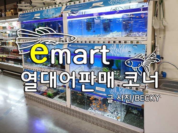  열대어 어항 이끼 청소하는 비파 살 수 있는 곳 이마트 공덕점