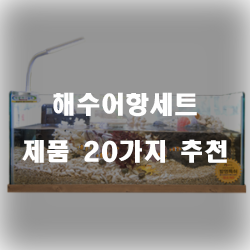  저렴한 해수어항세트 여기에 있습니다.추천 순위 리스트 입니다. 보고가세요~ 