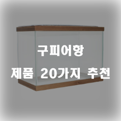  다양한 구피어항 상품군20개의 상품을 한눈에 보는 확인 해보세요~ 