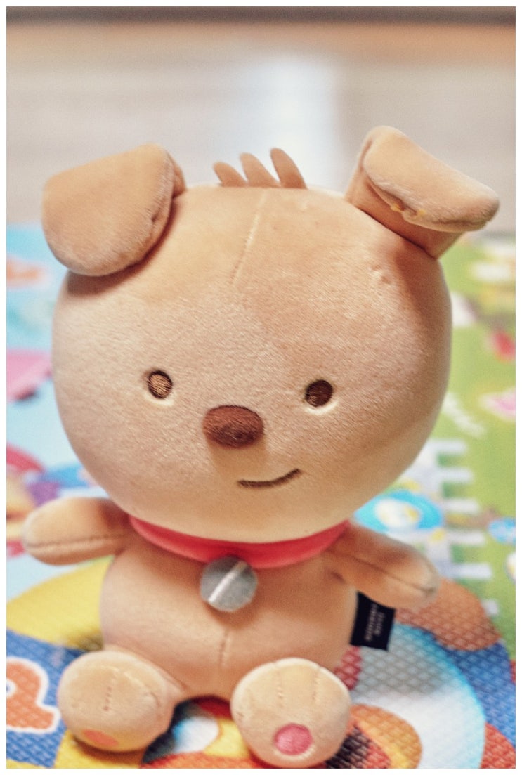  인형 (lx100)