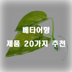  후회없는 선택의 베타어항 물품20종류 순위 입니다. 알뜰한 쇼핑하세요~ 