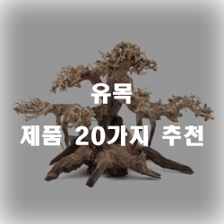  [상품정보] 유목 찾으셨나요?20종류 추천 순위 입니다 실패없는 쇼핑 하세요 