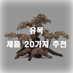 [상품정보] 유목 찾으셨나요?20종류 추천 순위 입니다 실패없는 쇼핑 하세요 