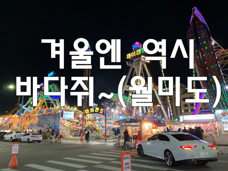  겨울엔 역시 바다쥐~(월미도)