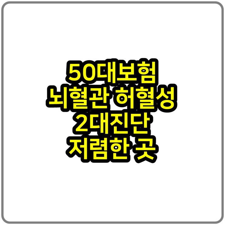  50대보험 뇌혈관 허혈성 2대진단 저렴한 곳