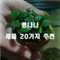  괜찮은 콩나나 여기에 있습니다.20개의 상품을 한눈에 보는 리스트 입니다. 알뜰한 쇼핑 하세요~ 