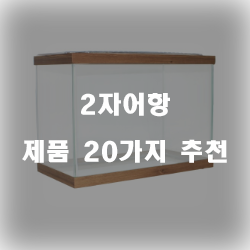  [베스트 순위] 2자어항 제품 모음추천 순위 리스트 확인해보세요~ 